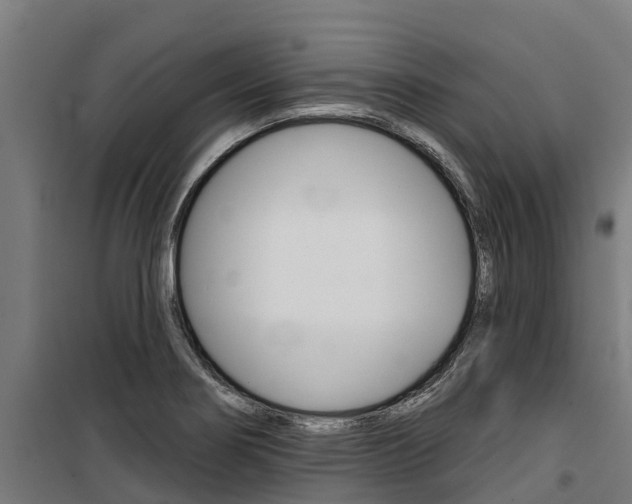 X0000100751274200806190814