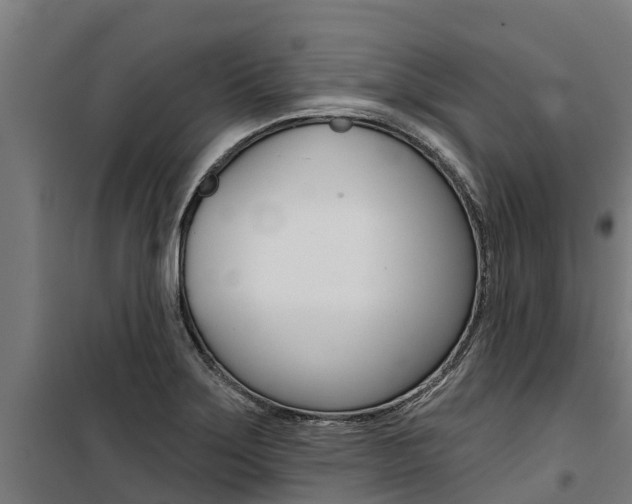 X0000100751275200806190814