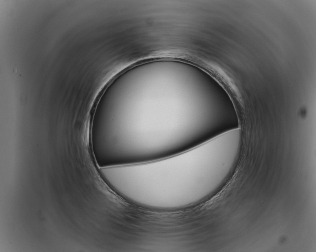 X0000100751276200806190814