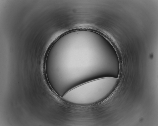 X0000100751277200806190814