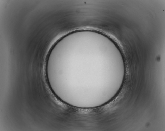 X0000100751278200806190814
