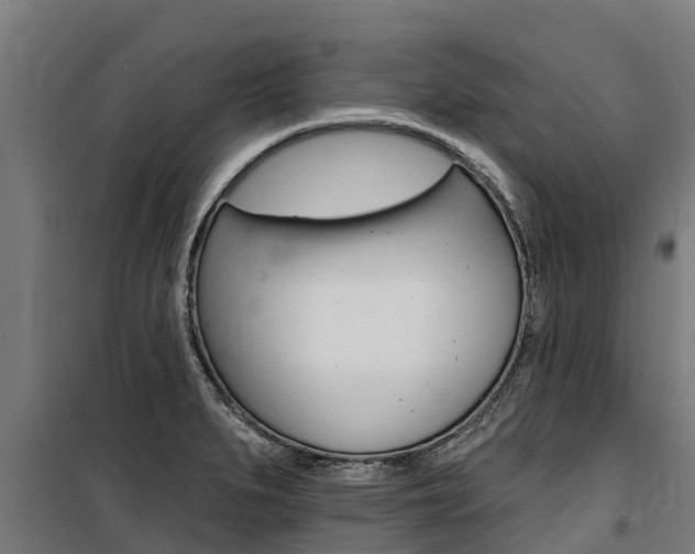 X0000100751279200806190814