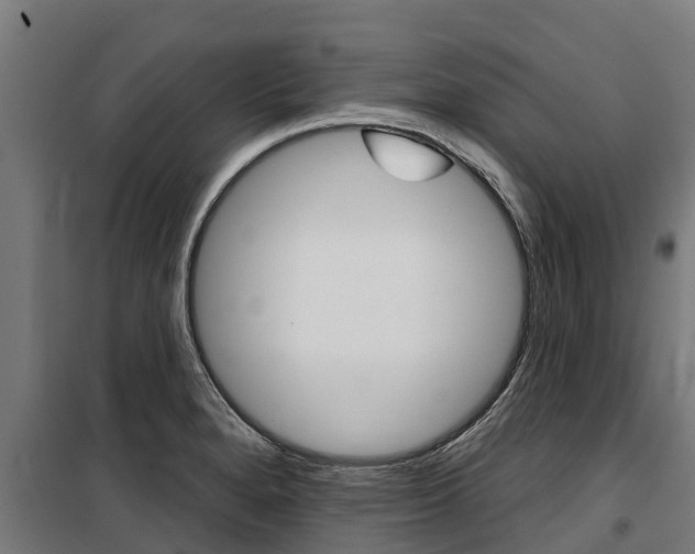 X0000100751280200806190814