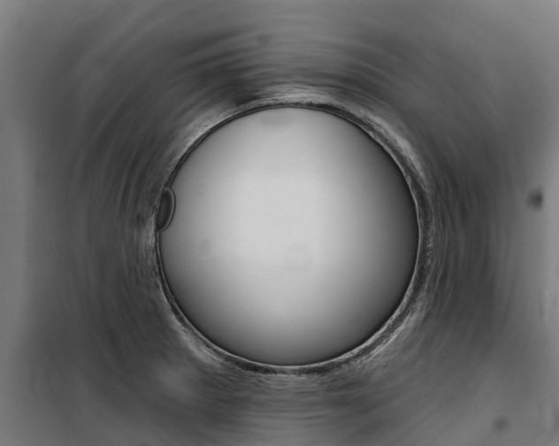 X0000100751281200806190814