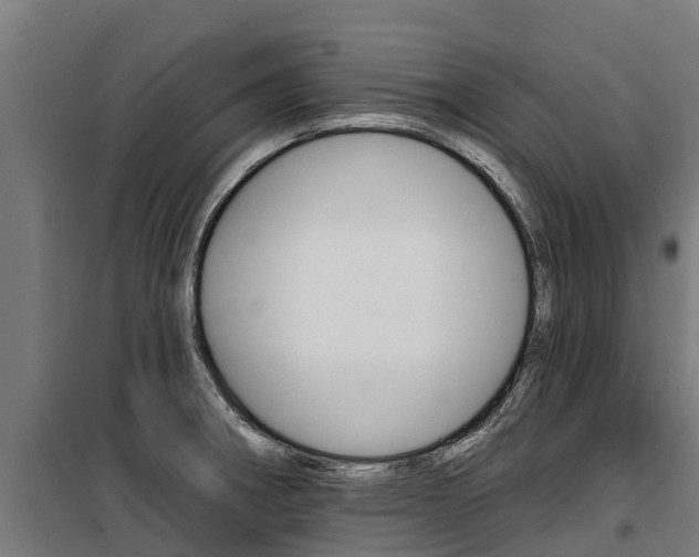 X0000100751282200806190814