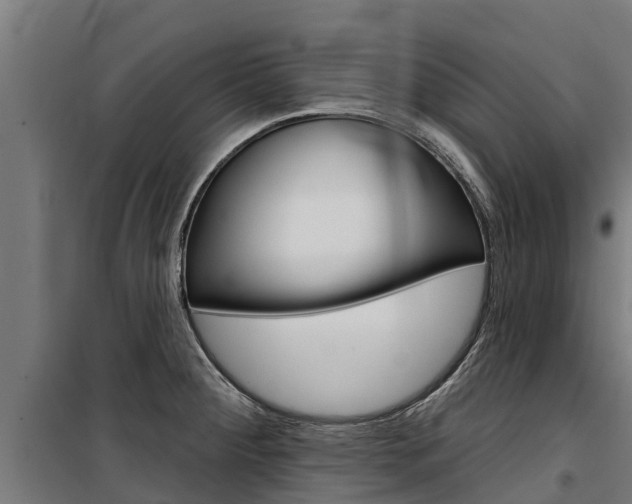 X0000100751284200806190814