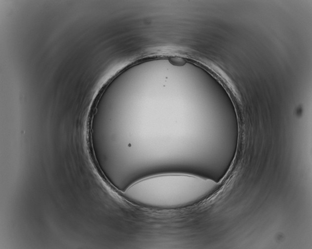 X0000100751285200806190814