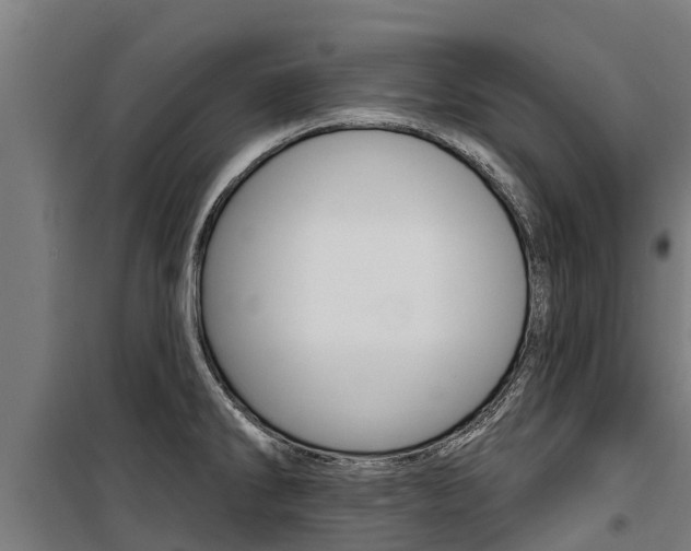 X0000100751286200806190814