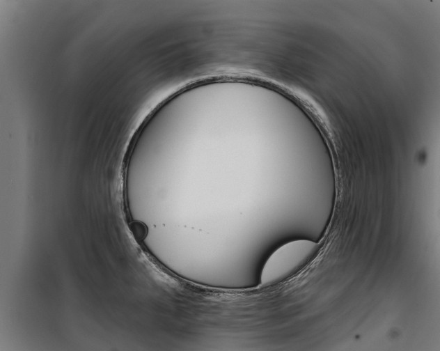 X0000100751287200806190814