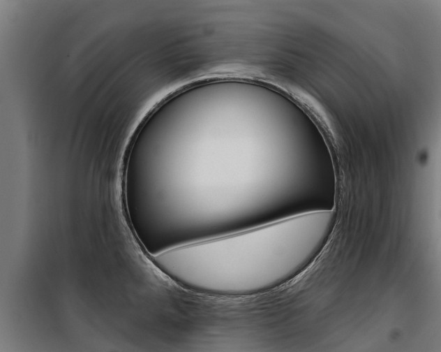 X0000100751288200806190814