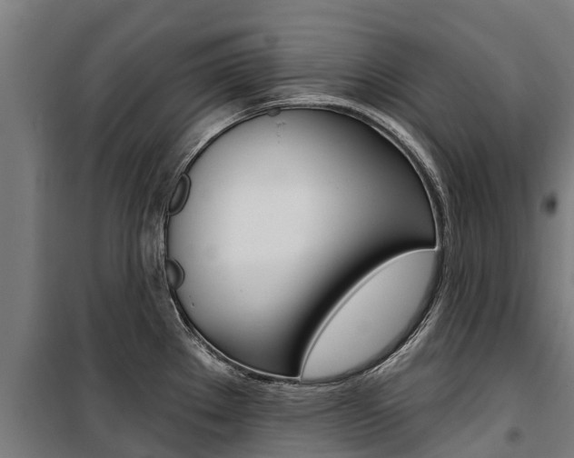 X0000100751289200806190814