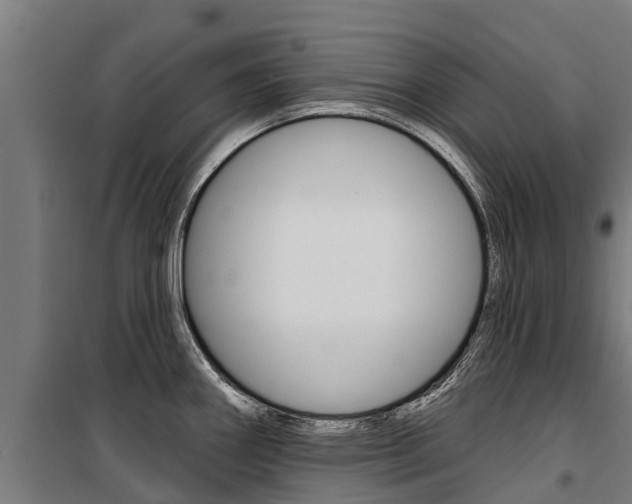 X0000100751290200806190814