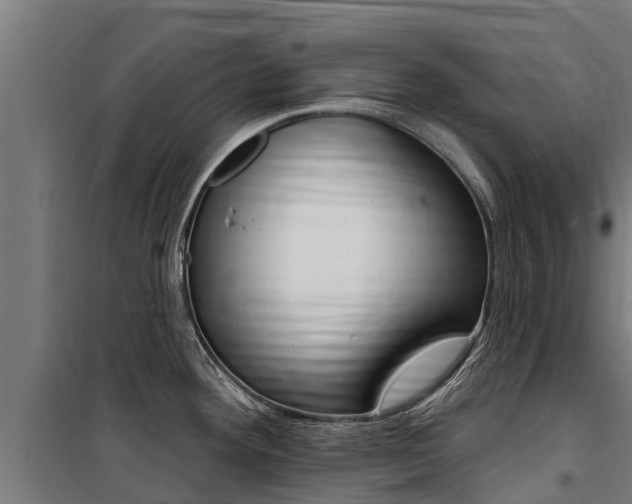 X0000100751292200806190814