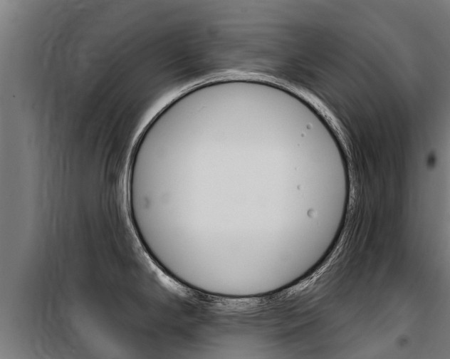 X0000100751294200806190814