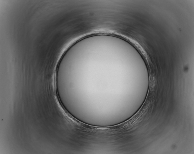 X0000100751295200806190814