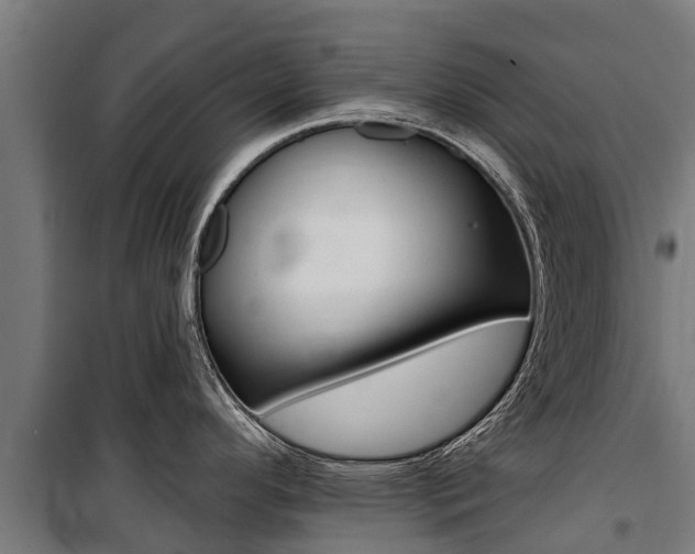X0000100751296200806190814