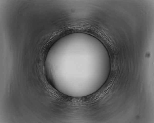X0000100751297200806190813