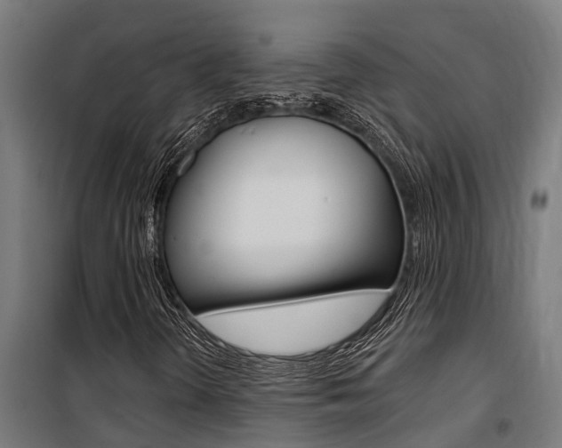 X0000100751298200806190813