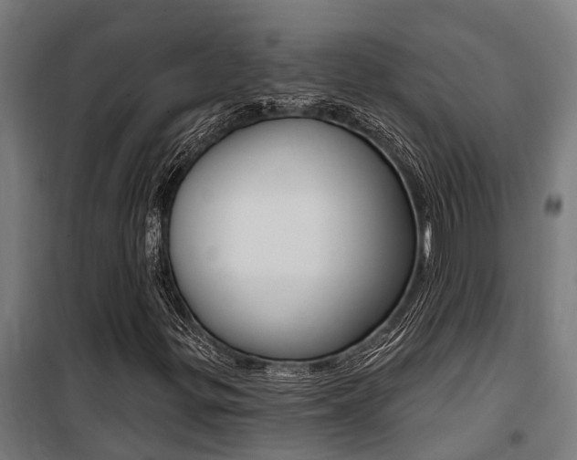 X0000100751299200806190813