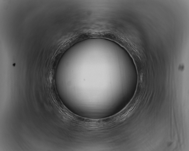 X0000100751300200806190813