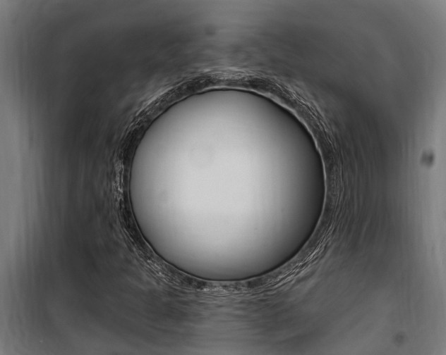 X0000100751301200806190813