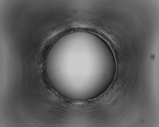X0000100751303200806190813