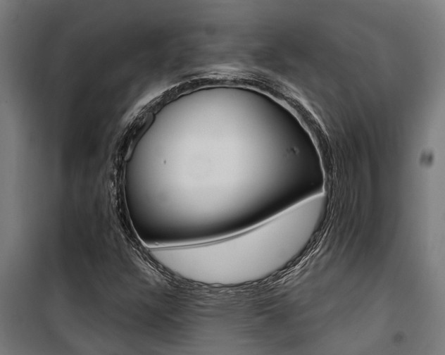 X0000100751304200806190813