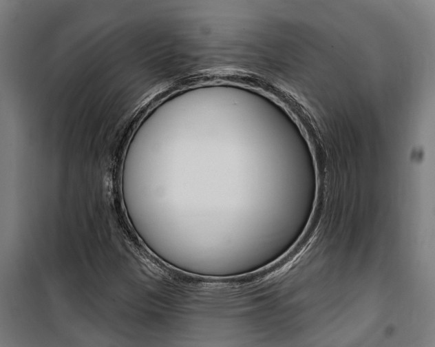 X0000100751305200806190813