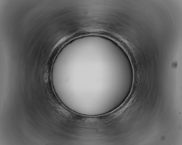 X0000100751306200806190813