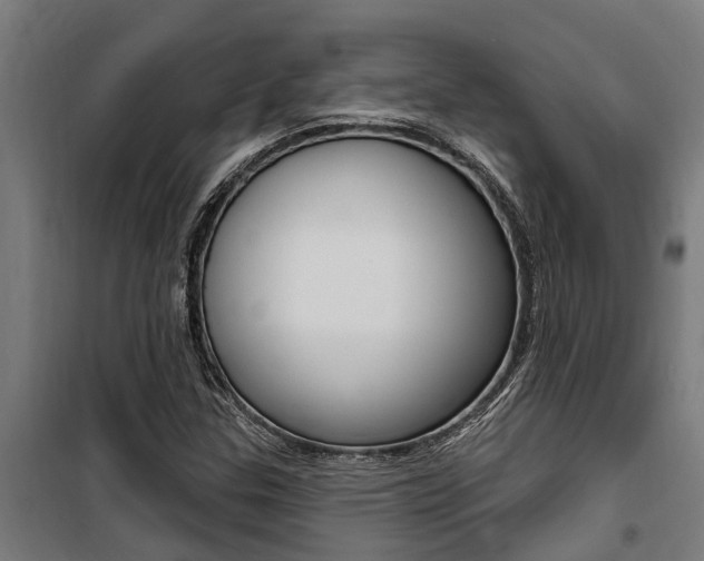 X0000100751307200806190813