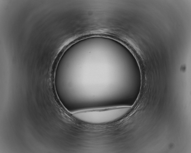 X0000100751308200806190813