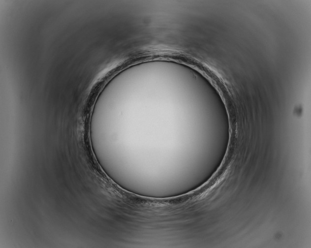 X0000100751309200806190813