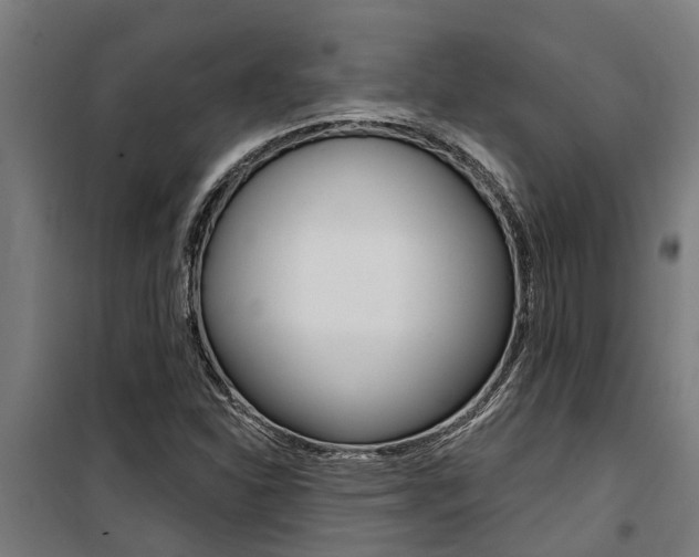 X0000100751310200806190813