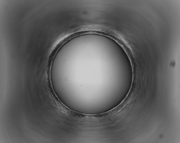 X0000100751312200806190813