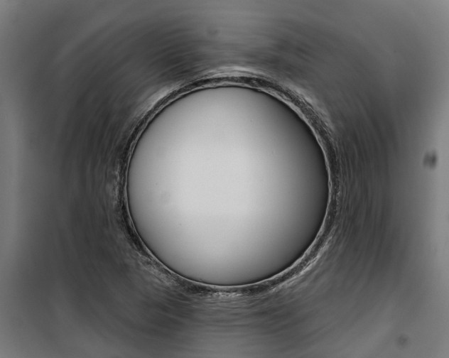 X0000100751313200806190813