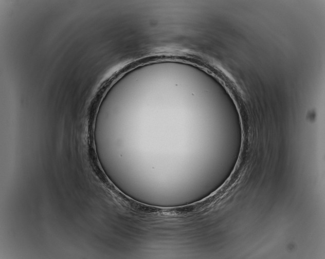 X0000100751315200806190813