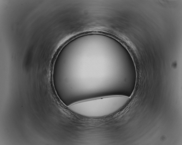 X0000100751316200806190813