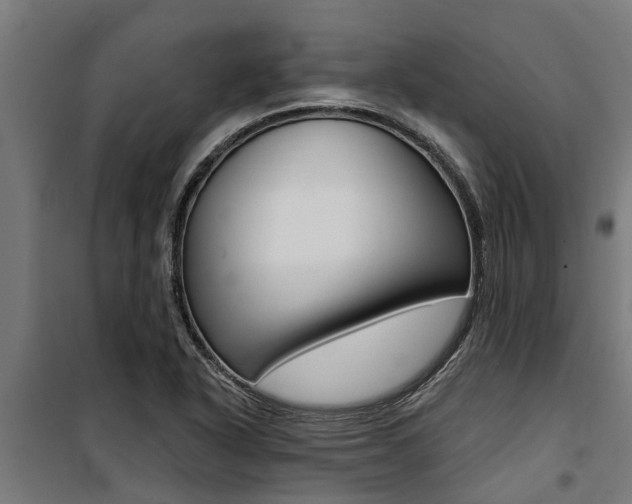 X0000100751318200806190813