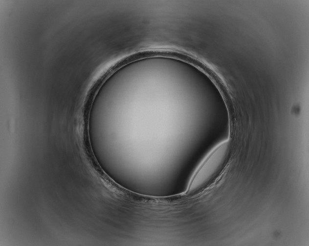 X0000100751319200806190813