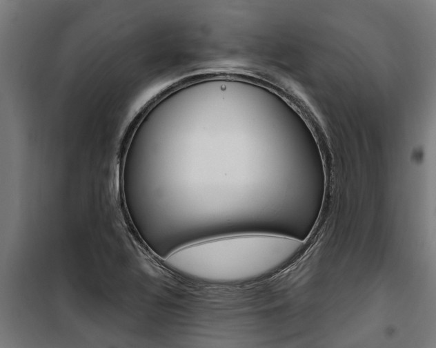 X0000100751320200806190813