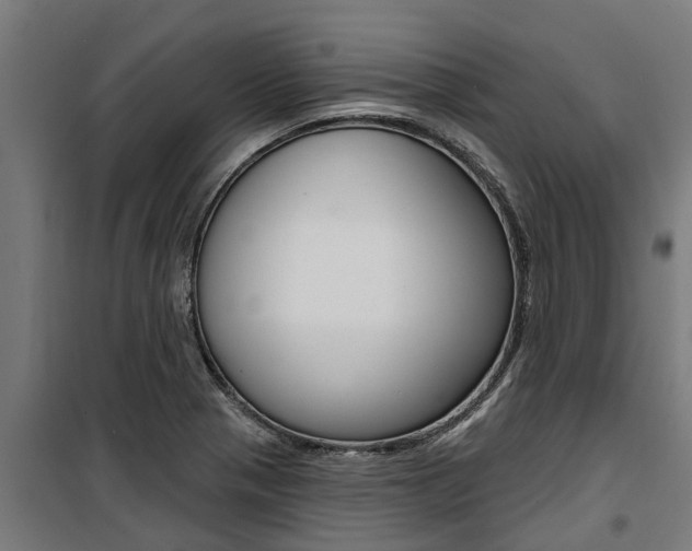 X0000100751321200806190813