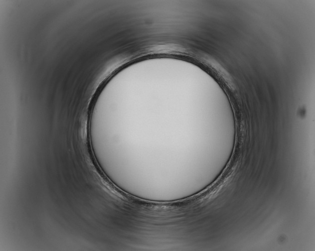 X0000100751322200806190813