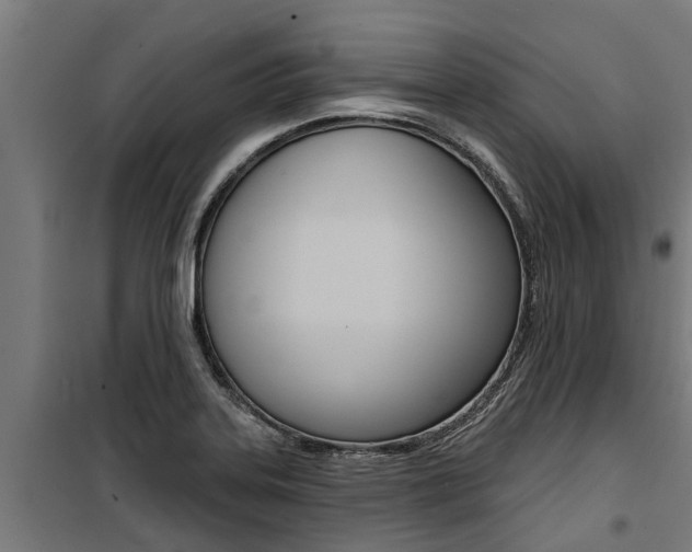 X0000100751323200806190813
