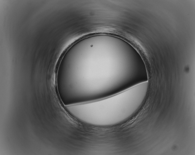 X0000100751324200806190813