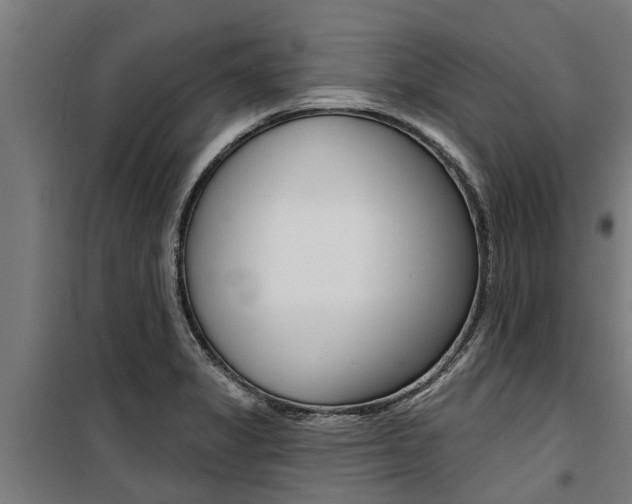 X0000100751325200806190813