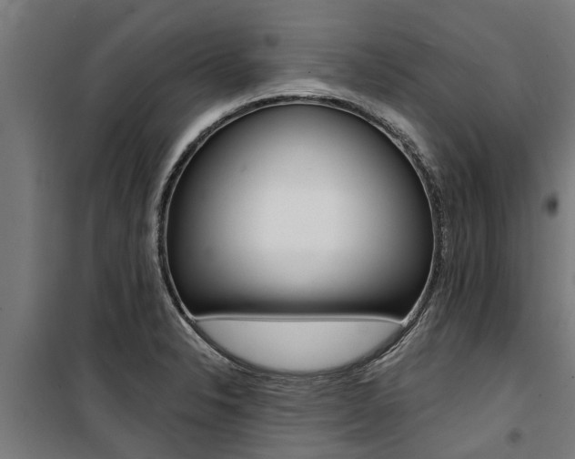 X0000100751326200806190813