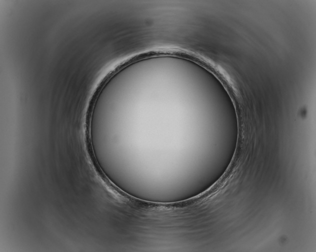 X0000100751327200806190813