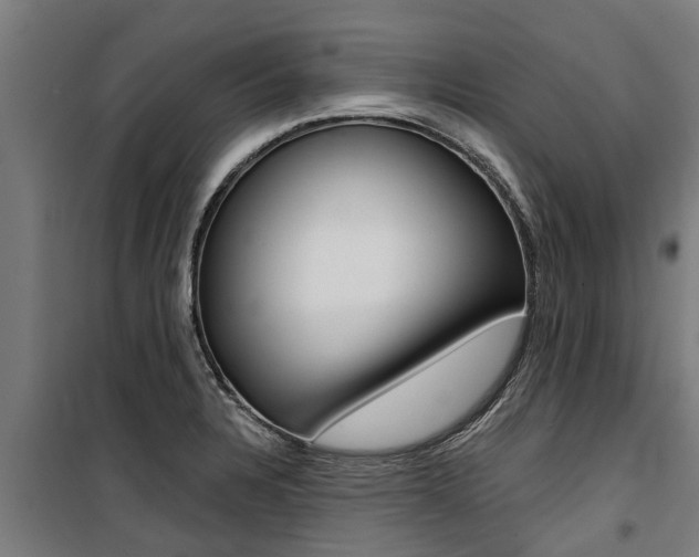 X0000100751328200806190814