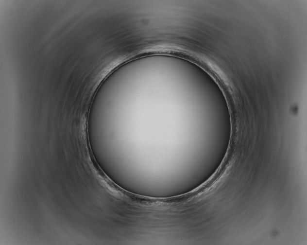 X0000100751329200806190814