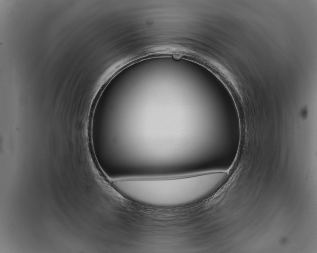 X0000100751330200806190814